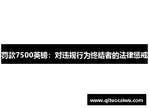 罚款7500英镑：对违规行为终结者的法律惩戒